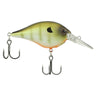 Berkley Dime Crankbait 2" – Mid-Depth Crank - Killer Gill