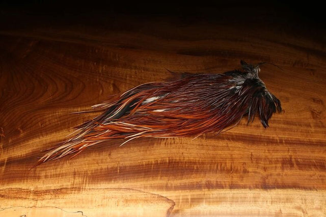 Dyed over White Saddle Patch - Brown - Hackle - Fly Fish Food