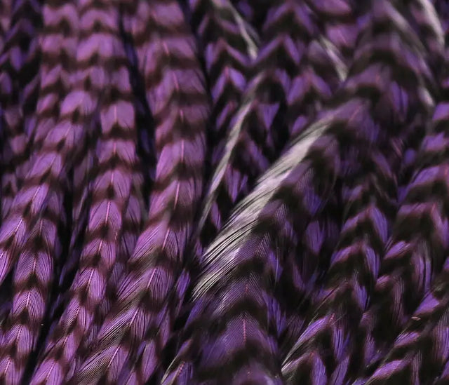 Hareline Half Grizzly Saddle - Purple #298 Hareline Dubbin