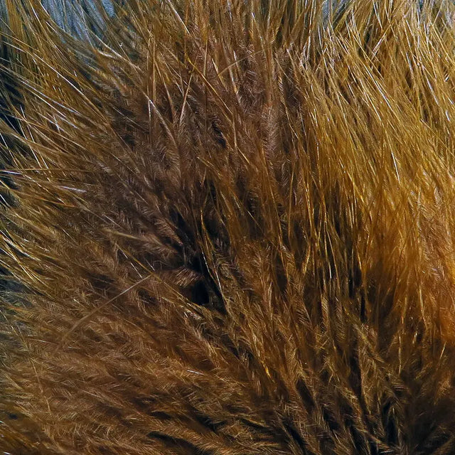 Hareline UV2 Premium Selected Marabou - Brown Hareline Dubbin