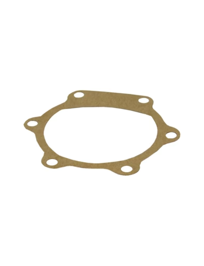 Jabsco Pump End Cover Gasket 706-0010