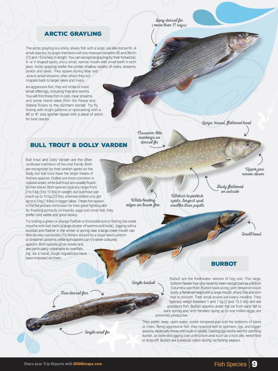Northern BC Fishing Charts 978-1-989175-17-0