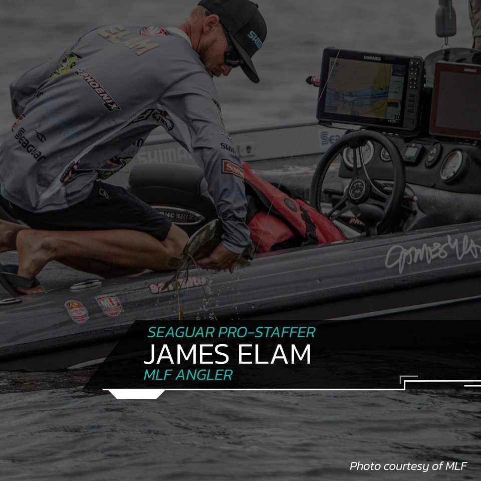 Seaguar 25VZ200 InvizX