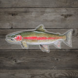 RepYourWater Cold Water Rainbow Sticker 6 Inch - Rainbow