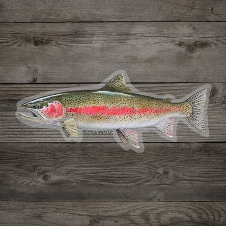 RepYourWater Cold Water Rainbow Sticker 6 Inch - Rainbow