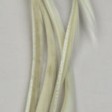 SGB377