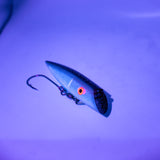 TOMIC TUBBY - Sparkle Herring Glow Belly