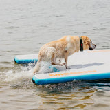 REEFLITE | Inflatable Water Mat | Compact + Easy-up Mission Outdoor