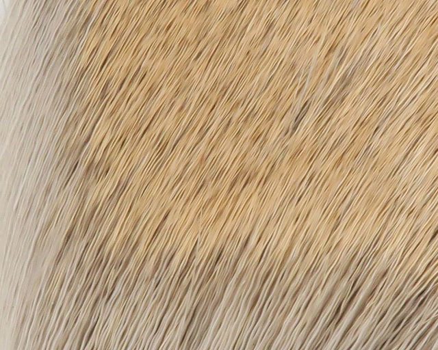 Coastal Deer Hair - Spawn Fly Fish - Hareline Dubbin