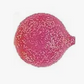 Pink textured ball on a white background
