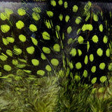 Hareline Dubbin UV2 Large Eyed Guinea Feathers