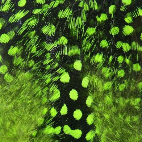 Hareline Dubbin UV2 Large Eyed Guinea Feathers