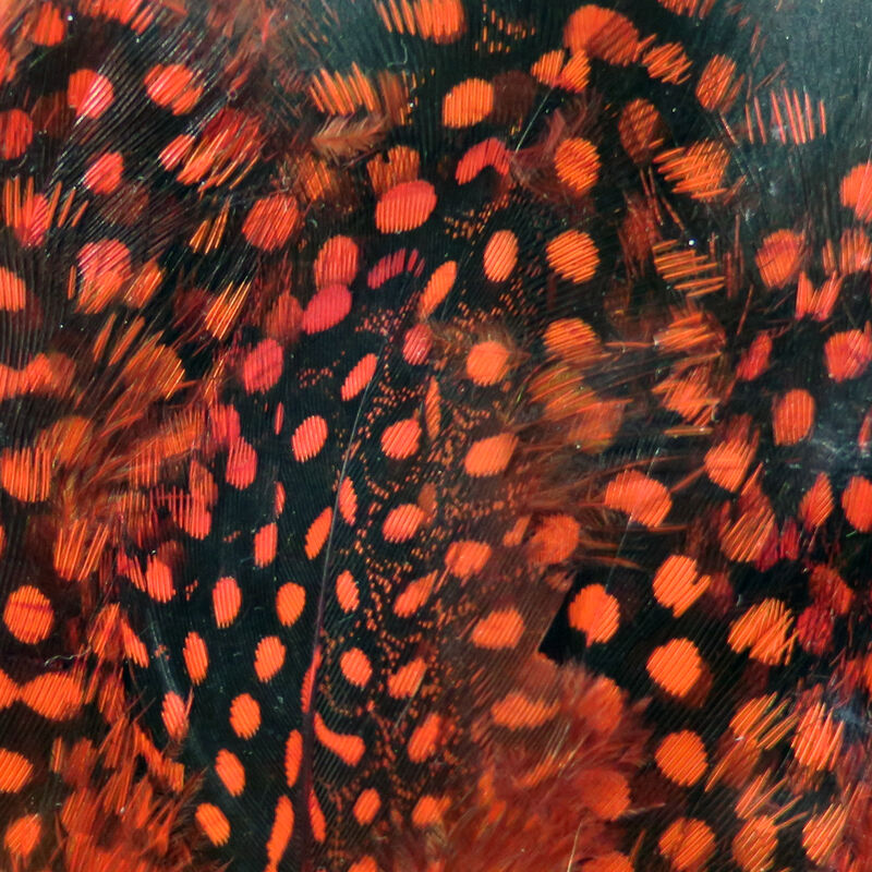 Hareline Dubbin UV2 Large Eyed Guinea Feathers