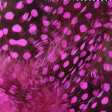 Hareline Dubbin UV2 Large Eyed Guinea Feathers