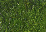 Hareline Hare'E Wiggle Dub - Peacock #282 Hareline Dubbin
