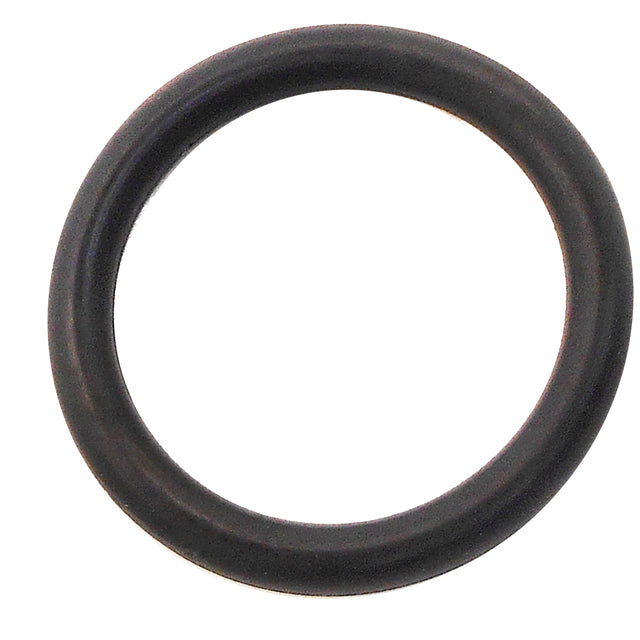 Jabsco Piston 'o'ring 29017-1000