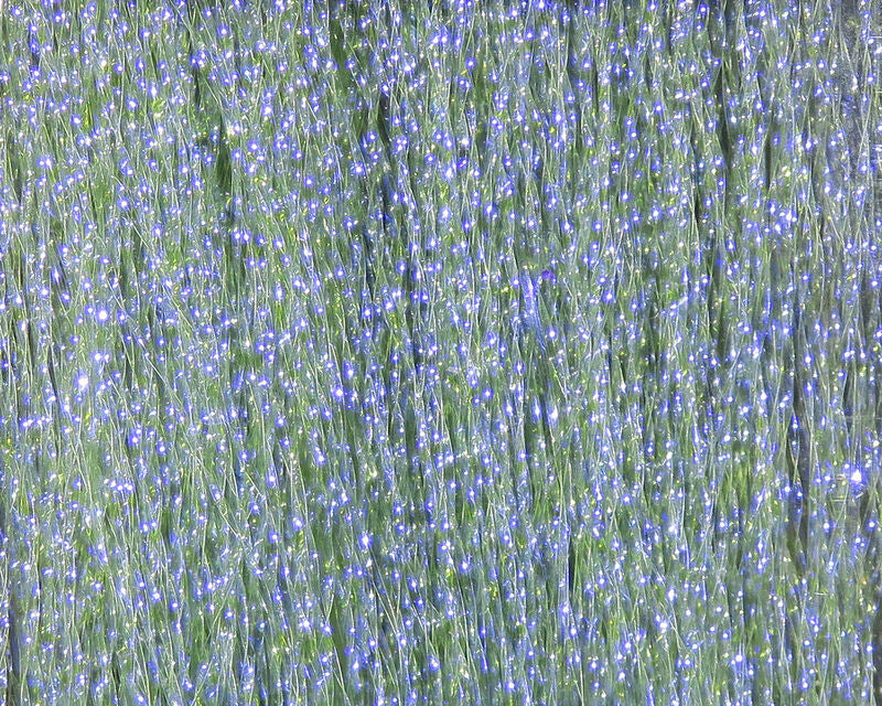 Hareline Krystal Flash - Herring Back #182