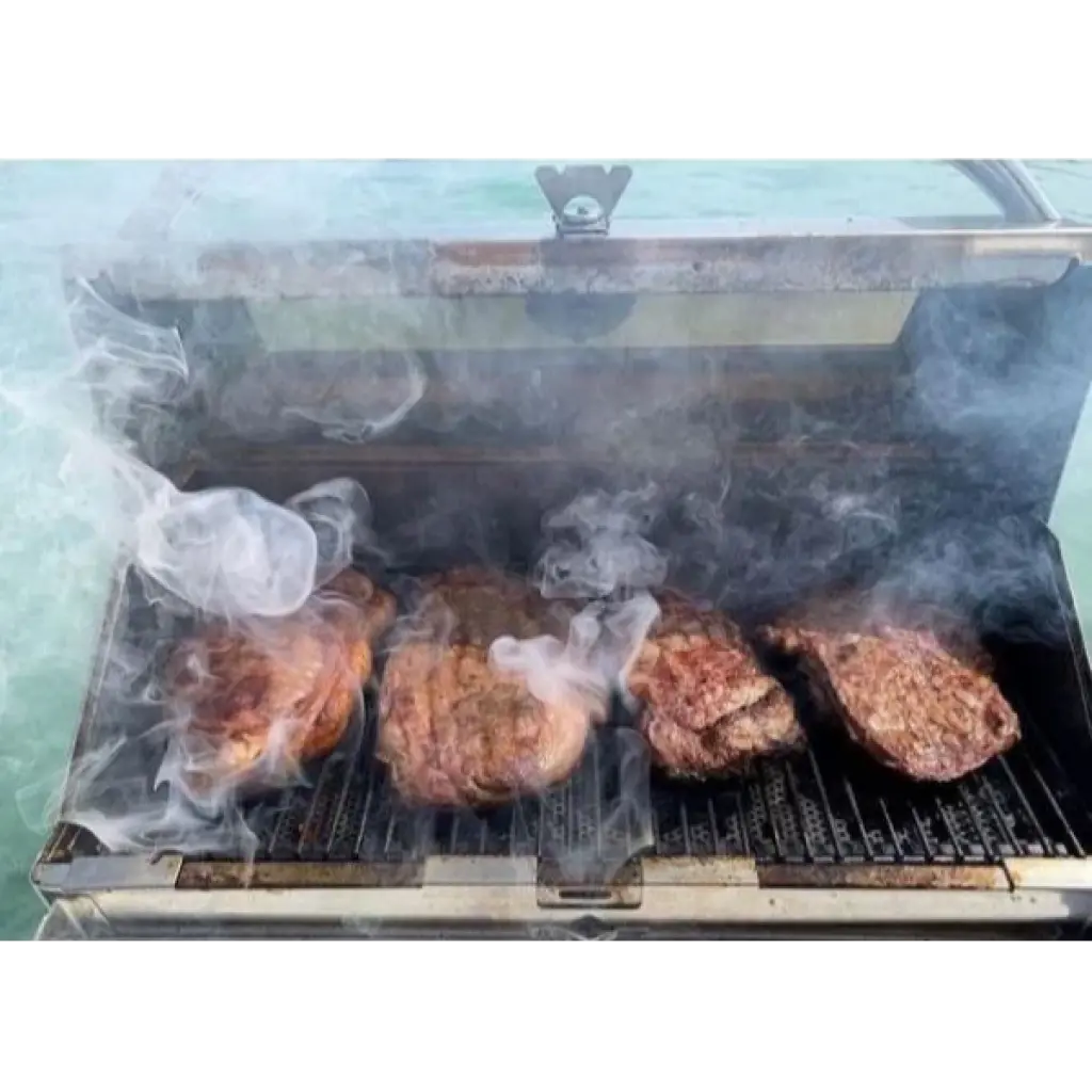 Magma Trailmate Gas Grill BBQ | Model A10-801-CSA