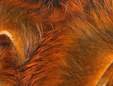 Hareline Magnum Rabbit Strips - Crawfish Orange #71 Hareline Dubbin