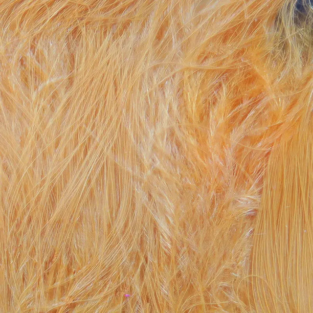 Hareline Marabou Strung Blood Quills - Peach #281 Hareline Dubbin
