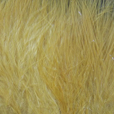 Hareline UV2 Marabou Feathers - Ginger Hareline Dubbin