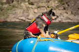 Dog wearing a red Mustang Foam Dog Life Vest on an inflatable raft during a river adventure, featuring adjustable fit and high-buoyancy flotation.