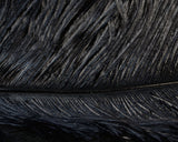 Spirit River UV2 Ostrich Plume - Spawn Fly Fish - Spirit River