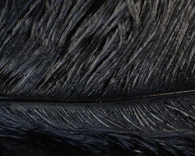 Spirit River UV2 Ostrich Plume - Spawn Fly Fish - Spirit River