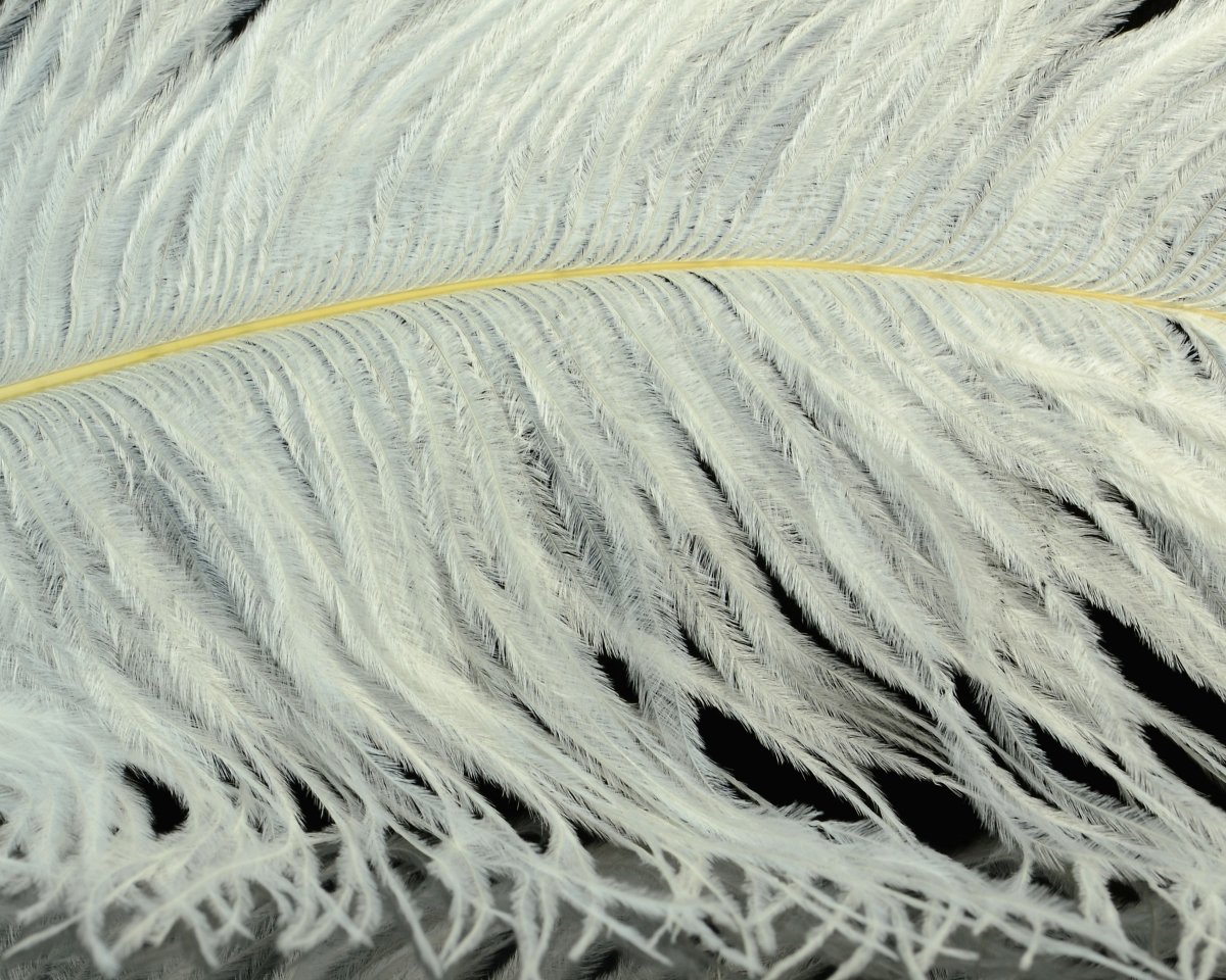 Spirit River UV2 Ostrich Plume - Spawn Fly Fish - Spirit River