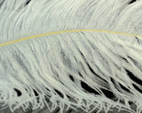 Spirit River UV2 Ostrich Plume - Spawn Fly Fish - Spirit River