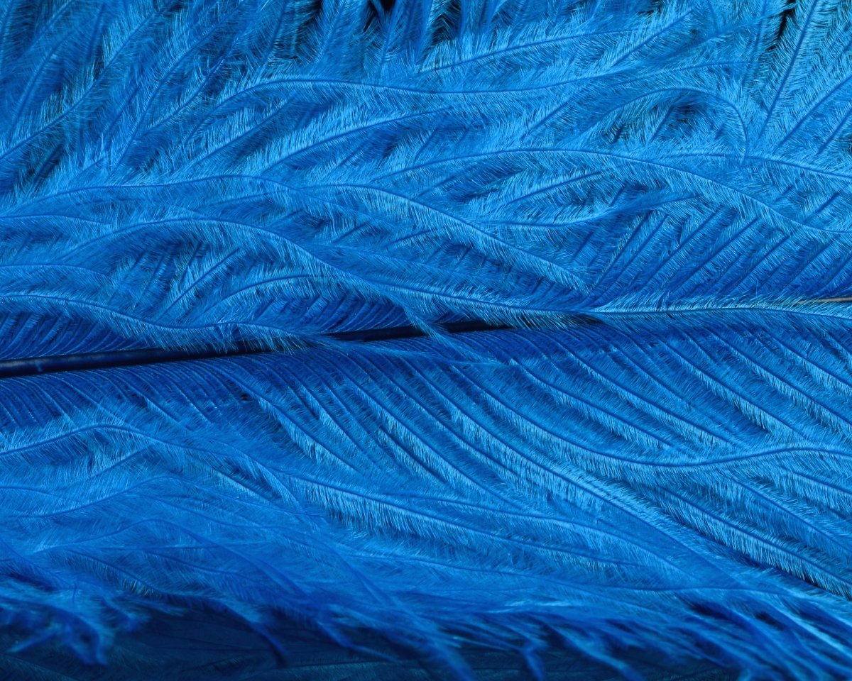 Spirit River UV2 Ostrich Plume - Spawn Fly Fish - Spirit River