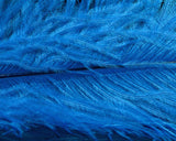 Spirit River UV2 Ostrich Plume - Spawn Fly Fish - Spirit River