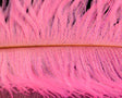 Spirit River UV2 Ostrich Plume - Spawn Fly Fish - Spirit River