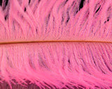 Spirit River UV2 Ostrich Plume - Spawn Fly Fish - Spirit River
