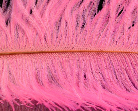 Spirit River UV2 Ostrich Plume - Spawn Fly Fish - Spirit River