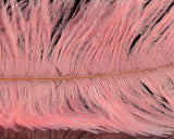 Spirit River UV2 Ostrich Plume - Spawn Fly Fish - Spirit River