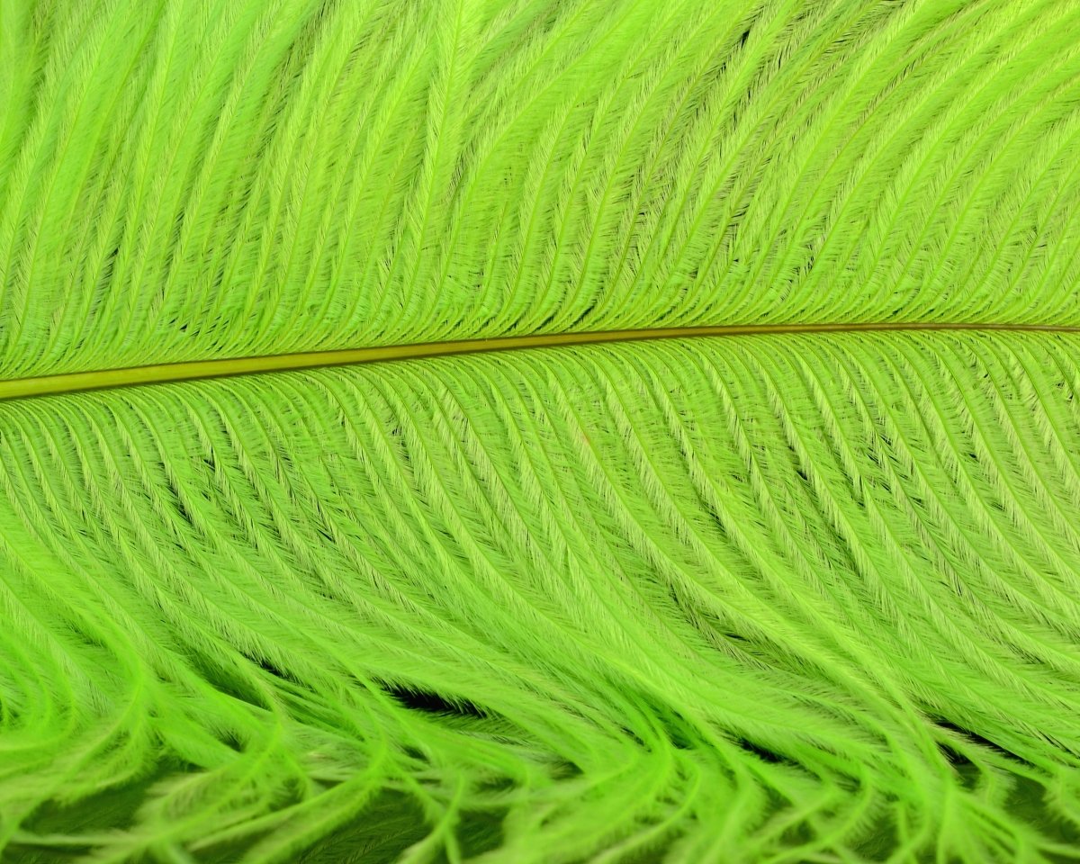 Spirit River UV2 Ostrich Plume - Spawn Fly Fish - Spirit River