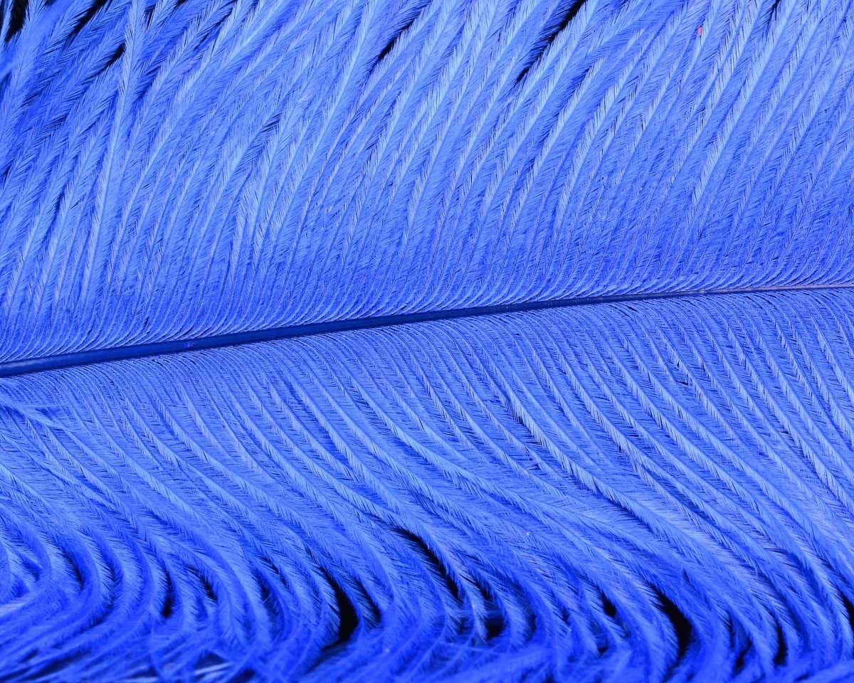 Spirit River UV2 Ostrich Plume - Spawn Fly Fish - Spirit River