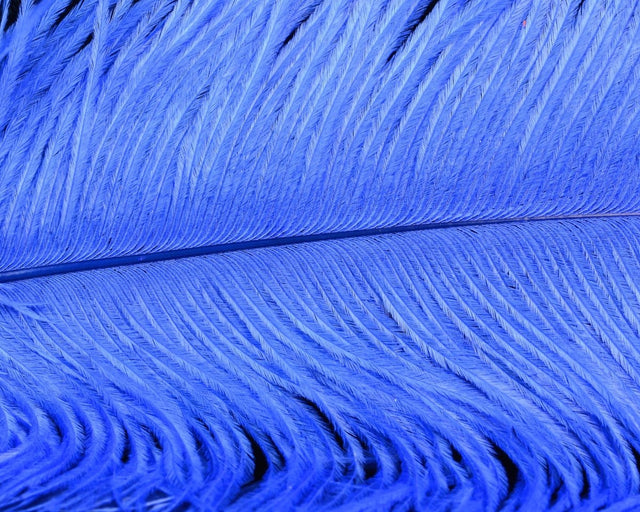 Spirit River UV2 Ostrich Plume - Spawn Fly Fish - Spirit River