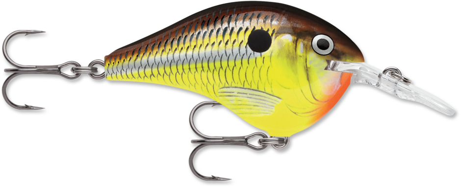 Rapala DT16HM Dives-To 16 Crankbait 2 3/4"