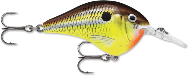 Rapala DT16HM Dives-To 16 Crankbait 2 3/4" duplicate RAPALA