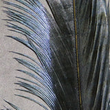 Hareline Ringneck Pheasant Tail Feathers - Black #11 Hareline Dubbin