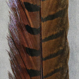 Hareline Ringneck Pheasant Tail Feathers - Brown #40 Hareline Dubbin