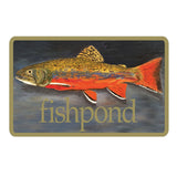 Fishpond Brookie Sticker 5"