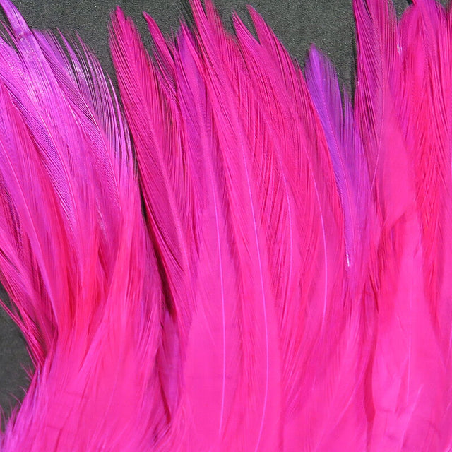 Close-up of bright pink feathers on a dark background